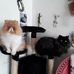 Christine Wilhelm - Facebook