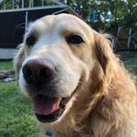 Christine Wilhelm - @cwiltex - Instagram