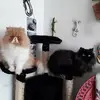 Christine Wilhelm - @christine.wilhelm7 - TikTok