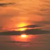 christinewilhelms2 - @christinewilhelms2 - TikTok