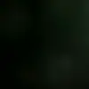 Wilhelm Christine - @wilhelm.christine - TikTok
