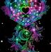 Christine Wise - Facebook