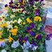 Christine Wise - Facebook