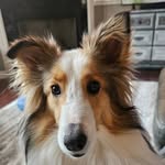 Christine Workman-Craine - @christine_craine - Instagram