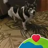 Christine Workman Taylor - @christine.workman5 - TikTok