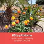 Christine Wray Smith - @rivendell42 - Instagram