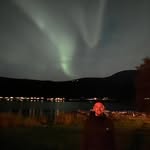 Christoph Meyer - @greenmarlinman - Instagram