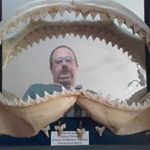 Christophe Bernard - @christophe59268 - Instagram