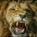 Christophe Joseph - Facebook