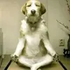christophemaury57 - @christophemaury57 - TikTok