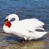 Christophe Rey - @christophe.rey8 - TikTok