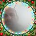 Christophe Rey - Facebook