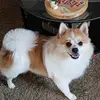 Christophe Rey - @christophe.rey32 - TikTok