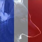Christophe Weber - @christophe.weber.752 - Instagram