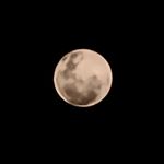 Christopher Aaron - @cceha - Instagram
