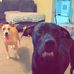 Chris Acree - Facebook