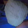 christopheragnew3 - @christopheragnew3 - TikTok