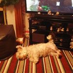 Christopher Alger - @christopher.alger.7 - Instagram