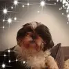 Christopher Alger - @christopheralger - TikTok