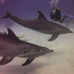 Christopher Allinson - @christopherallinson - Instagram