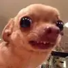 christopheralmazantorres - @christopheralmazantorres - TikTok
