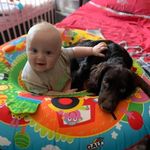 Christopher Ansell - @deadmanbarnes - Instagram