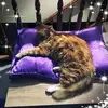 Christopher Ansell - @christopheransell64 - TikTok