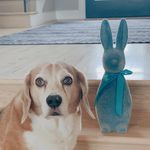 Chris Applegate - @christopherapplegate - Instagram