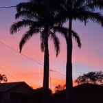 Christopher - @christopherarmour46 - Instagram