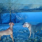 Christopher Ashworth - Facebook