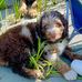 Christopher Atencio - Facebook