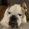 Christopher Auth - @christopher.auth - TikTok