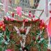 Christopher Bade Balgos - Facebook