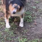 Christopher Baity - Facebook