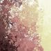 Christopher Barajas - Facebook