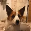 chris barratt - @chris.barratt - TikTok
