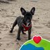Christopher Barratt - Facebook
