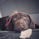 Christopher - @christopher_bartels68 - Instagram