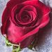 Chris Battaglia - Facebook