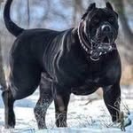Christopher Battle - @christopherbattle9 - Instagram