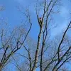 Christopher Batts211 - @christopherbatts24 - TikTok