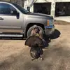 Christopher Baum265 - @christopherbaum0 - TikTok