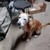 Christopher Beall - Facebook