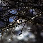 Chris - @christopher_beavers_ - Instagram