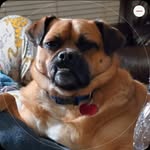 Christopher Behrens - @omeganaught_christopher - Instagram