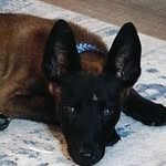 Christopher Bender - @christopherbender2 - Instagram