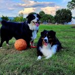Christopher Benner - Facebook