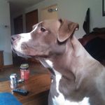 Christopher Bergman - @bergman450r - Instagram