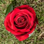 Christopher Bergman - @christopherbergman6 - Instagram