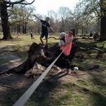 christopher bermingham - @christopherbermingham - Instagram